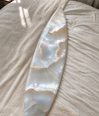 Summer Shell Surfboard Wall Decor